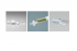 Advantec  Hydrophobic PTFE Syringe Filter, Non-Sterile 